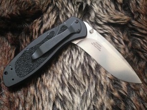 Kershaw Knife: Kershaw Blur Black Stone-washed Folding Knife