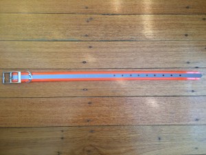 Blaze Orange and Reflective Dog Collar - Medium (27.5cm to 44.5cm)