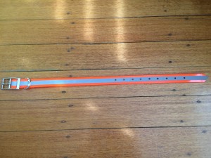 Blaze Orange and Reflective Dog Collar - Large (29.5cm to 49cm)