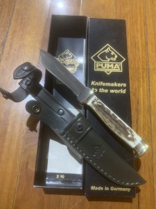 Puma Knife: Puma Jagdnicker nach Frevert 3587 Knife with Stag Antler Handle
