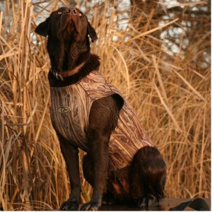 Avery Standard Neoprene 3mm Dog Vest in Marshgrass Camo - XL