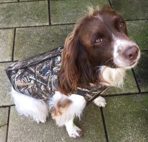 Avery Standard Neoprene 3mm Dog Vest in BuckBrush Camo - Medium