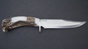 Silver Stag Tool Steel Series Short Bowie Skinner Stag Antler Handle