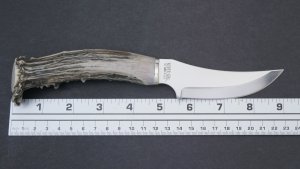 Silver Stag Crown Series Cascade Hunter Knife with Stag Antler Handle