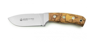 Puma Knife: Puma IP 810018 Cervato Stag Antler Handle handle