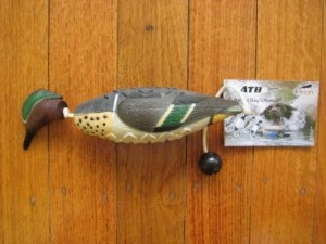 Avery Greenwing Teal