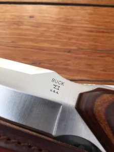 Buck Knife: Buck 403 Big Sky Knife with Walnut Laminated Handle