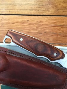 Buck Knife: Buck 403 Big Sky Knife with Walnut Laminated Handle