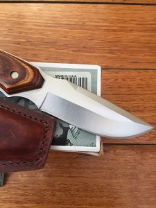 Buck Knife: Buck 403 Big Sky Knife with Walnut Laminated Handle