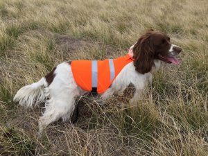 SOS Blaze Orange and Reflective Gun Dog Vest Large Size