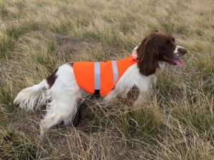 SOS Blaze Orange and Reflective Gun Dog Vest Medium Size