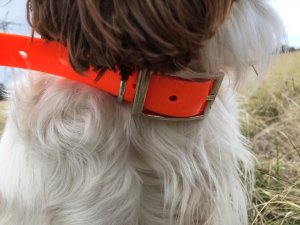 SOS Blaze Orange and Reflective Gun Dog Vest Med/Large Size-Collar Combo