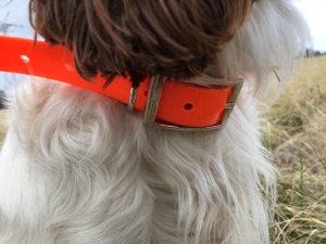 SOS Blaze Orange and Reflective Gun Dog Vest Medium Size Vest-Collar Combo