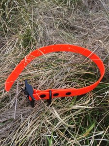 SOS Blaze Orange Dog Collar 2.5cm Wide 65cm with Black Buckle