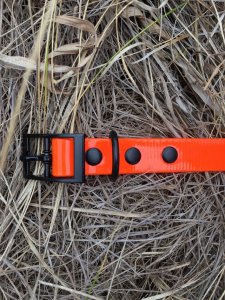 SOS Blaze Orange Dog Collar 2.5cm Wide 65cm with Black Buckle