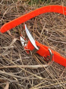 SOS Blaze Orange Dog Collar 2.5cm Wide 65cm with Silver Buckle