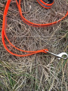 Dog Lead: Blaze Orange Reflective 2 Handled Dog Lead