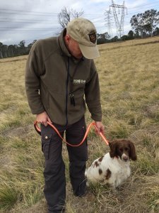 Dog Lead: Blaze Orange Reflective 2 Handled Dog Lead