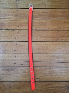 SOS Blaze Orange Dog Padded Collar 2.0cm Wide 55cm Long with Silver Buckle