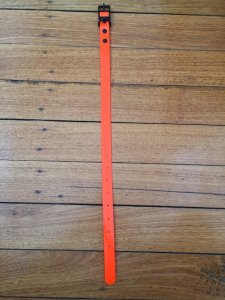 SOS Blaze Orange Dog Collar 2.5cm Wide 65cm with Black Buckle