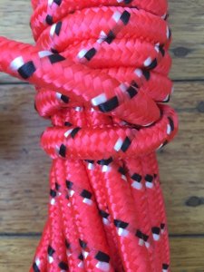 Long Dog Lead: Professional 10 metre Dog Trainer Red Fleck Lead