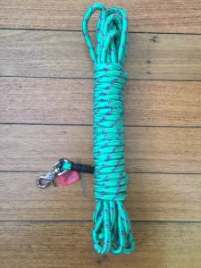 Long Dog Lead: Professional 10 metre Dog Trainer Green Fleck Lead