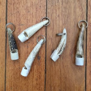 Whistle: Sambar Deer Antler Tip Dog Whistle with Lanyard ring