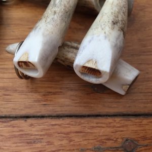 Whistle: Sambar Deer Antler Tip Dog Whistle with Lanyard ring