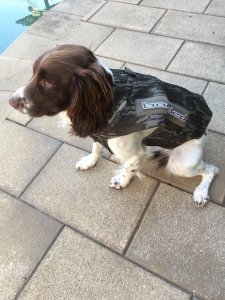 Avery Neoprene 5mm Dog Vest in Bottomland Camo - Small