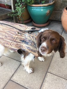 Avery Neoprene 5mm Boater's Dog Vest in Marshgrass Camo - 3XL