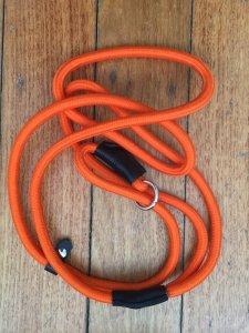 Long Dog Lead: Professional 10 metre Dog Training Blaze Long Slip Lead and 150cm Blaze Slip Lead Combo