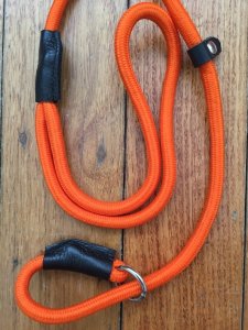 Long Dog Lead: Professional 10 metre Dog Training Blaze Long Slip Lead and 150cm Blaze Slip Lead Combo