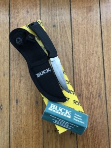 Buck Knife: Buck 475 Mini-Mentor Hunting Knife with Black Handle