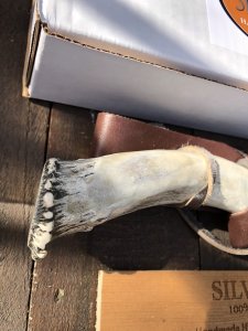 Silver Stag Crown Series Deep Valley Knife with Stag Antler Handle