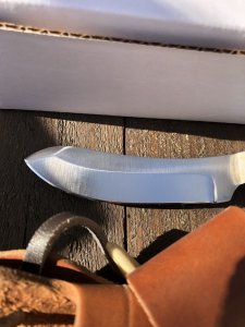 Silver Stag Slab Series Bullnose Skinner Stag Antler Handle