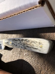 Silver Stag Slab Series Bullnose Skinner Stag Antler Handle