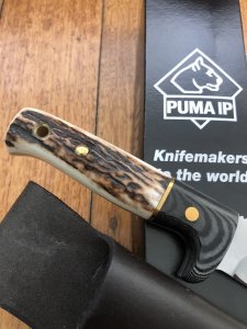 Puma Knife: Puma IP Wildmeister Knife with Stag Antler and  Micarta Handle