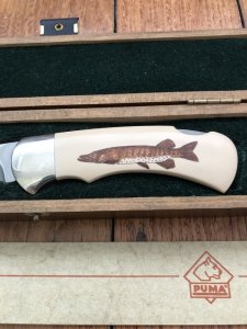 Puma Knife: Puma Original Scrimshawed Pike 4 Star Folding Lock Blade Knife with Wooden Presentation Box