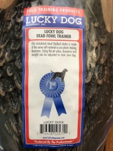 Lucky Dog Large Mallard Drake