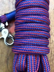 Long Dog Lead: Professional 5 metre Dog Trainer Purple-Blue Fleck Long Lead