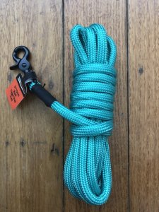 Long Dog Lead: Professional 5 metre Dog Trainer Aqua Green Long Lead