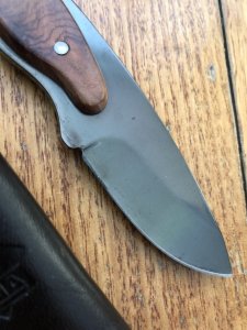 Puma Knife: 2006 Puma Rattler Fixed Blade Knife with Thuya Root Wood Handle