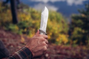 Puma Knife: Puma Hunt To Survive Keiler-Frischling (Wild Boar-Piglet) Twin Knife Set