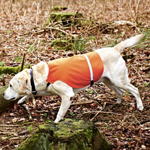 Blaze Orange Gun Dog Vest with Reflective Strip Medium-Large Size