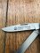 Puma Knife: Puma Trapper Lockback Knife with Green Smooth Bone Handle