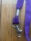Lanyard: Purple Whistle Lanyard