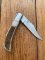 Puma Knife: Puma IP Badger Folding Knife with Stag Antler Handle