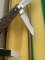 Puma Knife: Puma Mint Rare 1969 'STOCK' 3 blade Knife with Dark Brown Jigged Bone Handle and Box #96744