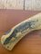 Puma Knife: Puma Original Scrimshawed Puma Aligator 4 Star Folding Lock Blade Knife with Presentation Box