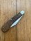 Puma 1981 Prospector Model 667 Folding Knife with Jacaranda Handle